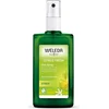 24-Stunden-Deospray mit Zitrusfrüchten ECO 100 ml   WELEDA