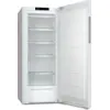 FN 4322 D-1 Gefrierschrank weiß