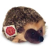 Igel, 15 cm, Plüsch