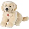 Golden Retriever, 30 cm, Plüsch