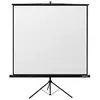 Reflecta Crystal-Line Stativ lux 180x180 (100", 1:1), Leinwand, Schwar...