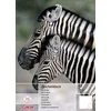 Herlitz Collegeblock herlitz Zeichenblock A3 20 Blatt