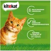 Kitekat KITEKAT  Portionsbeutel Multipack Bunte Vielfalt in Sauce 48 x...