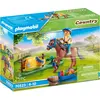 PLAYMOBIL Country 70523 Sammelpony "Welsh"