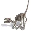 4m Grabe Ein Velociraptor-skelett Dinosaurier-kit Aus