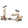 Scoot and Ride, Scooter