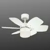 Westinghouse Flora Royale Ventilator mit Licht