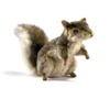 Hansa Toy 5676 Grauhörnchen aufwartend 21 cm Kuscheltier Plüschtier