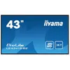 Iiyama LE4341S-B2