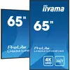 iiyama LH6541UHS-B1AG, 163,8 cm (64.5"), LCD, 3840 x 2160 Pixel, 24/7