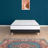 Urban Collections NEW YORK Bett-Set 140x190: 798 Taschenfedern, 7 Zone...