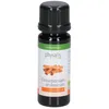 Physalis Bio-Zimtöl 5 ml