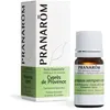 PRANAROM Ätherisches Öl Zypresse der Provence Bio 5 ml