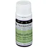 Pranarôm Bio Ätherisches Öl Ingwer (Zingiber officinale) 72 cm
