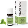 Pranarôm Ätherisches Öl Zitronenmelisse (Melissa officinalis) 5 ml