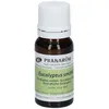 Pranarom Pranarôm Bio Ätherisches Öl Eukalyptus Smithii (Eucalyptus sm...
