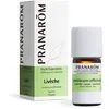 Pranarôm Ätherisches Öl Liebstöckel (Levisticum Officinale) 5 ml