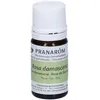 Pranarôm Bio-Damastrose Ätherisches Öl (Rosa damascena) 5 ml