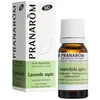 Pranarôm Bio Ätherisches Öl Speiklavendel (Lavandula latifolia) 88.8 c...