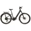 Urban Jungle Barrio 3.0 Performance Elektrofahrrad M