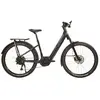 Urban Jungle Barrio 3.0 Performance Elektrofahrrad L