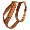 Aktives Hundegeschirr Kentucky Velvet Orange XL