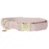 Hundehalsband Kentucky Velvet Rosa S