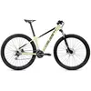 Coluer Pragma 294 29´´ Altus 2025 Mountainbike L