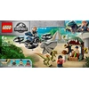 LEGO® Jurassic World  , 75934