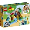 LEGO® DUPLO® Dino-Streichelzoo 10879