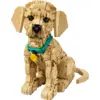 LEGO 11384 Icons Golden Retriever Welpe, Konstruktionsspielzeug