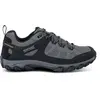 Wanderschuhe Regatta Edgepoint IV Gris 45