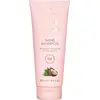 CoCo LoCo Agave Moisturizing Shampoo ( Shine Shampoo) 250ml