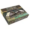 Asmodee Northern Settlement, Brettspiel, 14 Jahr(e)