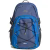 Rucksack Trespass Albus Bleu 30 L