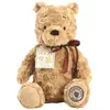 Cuddly Winnie The Pooh DN1463