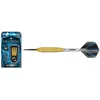 Pfeile aus Stahl und Messing WINMAU Neutron 22g (x3) 53,3 mm