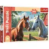 Trefl Puzzle 200   Pferde (200 Teile)