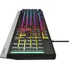 Natec Genesis Rhod 300 Rgb Gaming-tastatur Englisch