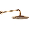 Omnires WGSET1GL Duschkopf mit 25 cm langem Arm, goldfarben