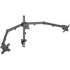 Manhattan Tischhalterung mit Monitorarm (Tisch, 27.01", 7 kg), Monitor...