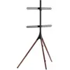 Manhattan Mobiler TV-Ständer mit Stativbeinen (32 kg, 45" - 65"), TV S...