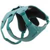 Ruffwear Web Master  Hundegeschirr S