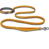 Ruffwear Roamer  Führleine L