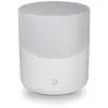 Bluesound PULSE M