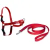 Nayeco Easy Walk Hundegeschirr