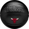 Wilson, Basketbälle, (7)