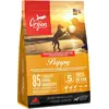 ORIJEN Puppy 2kg