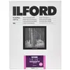 Ilford 1x100 MG RC DL 1M 18x24 (190 g/m², 18 x 24 cm, 100 Stk.), Fotop...