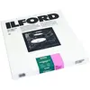 Ilford MG FB Warmtone 1K 30x40cm/50 Blatt #1865545, Analogfilmentwickl...